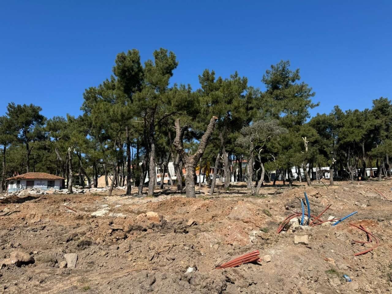 Muğla'daki Parklarda “Beton” Tartışması Büyüyor: 2 Dönümlük Alana 6,4 Milyon TL’lik Yenileme Projesi Gündemde 7